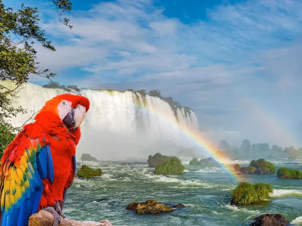 catartas-iguazu-parque-de-avesjpg